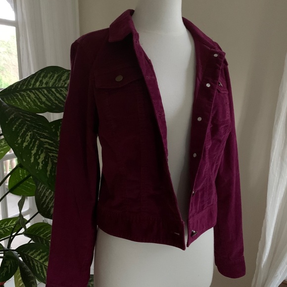 CASLON Deep Ruby Corduroy Blazer - Picture 4 of 6